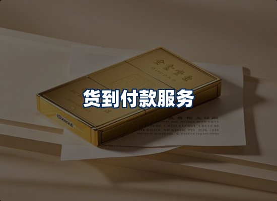 专业团队办公环境
